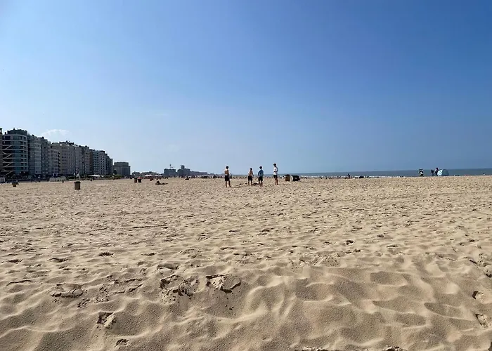 Gezellige 1 Slaapkamer, 3pers,strand,zee 50m *