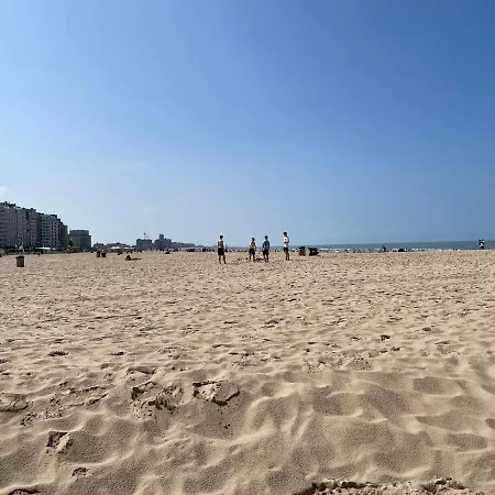 Gezellige 1 Slaapkamer, 3pers,strand,zee 50m *